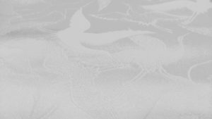 IMG_20150829_164936